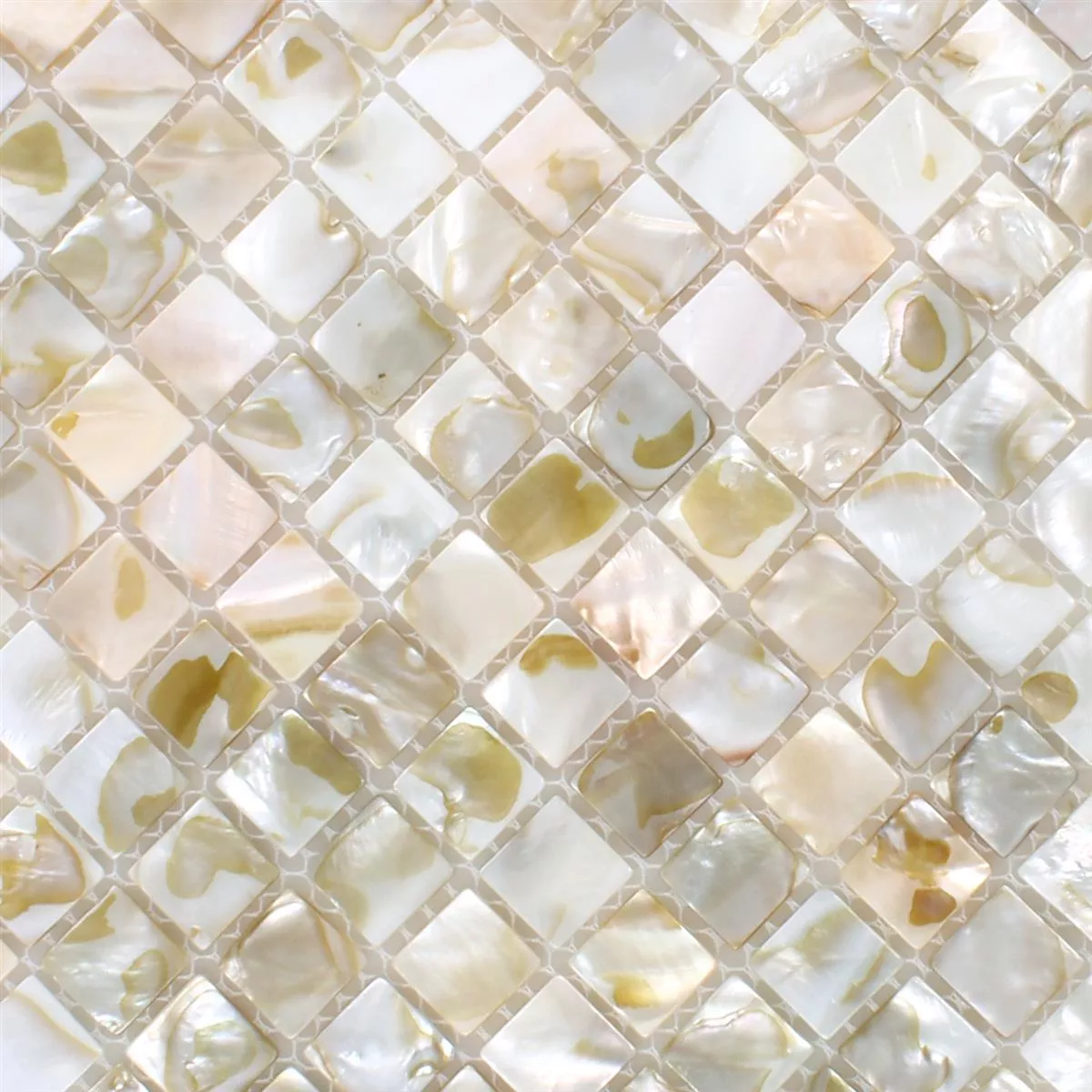 Mozaik Csempe Héj Kordon Világos Bézs