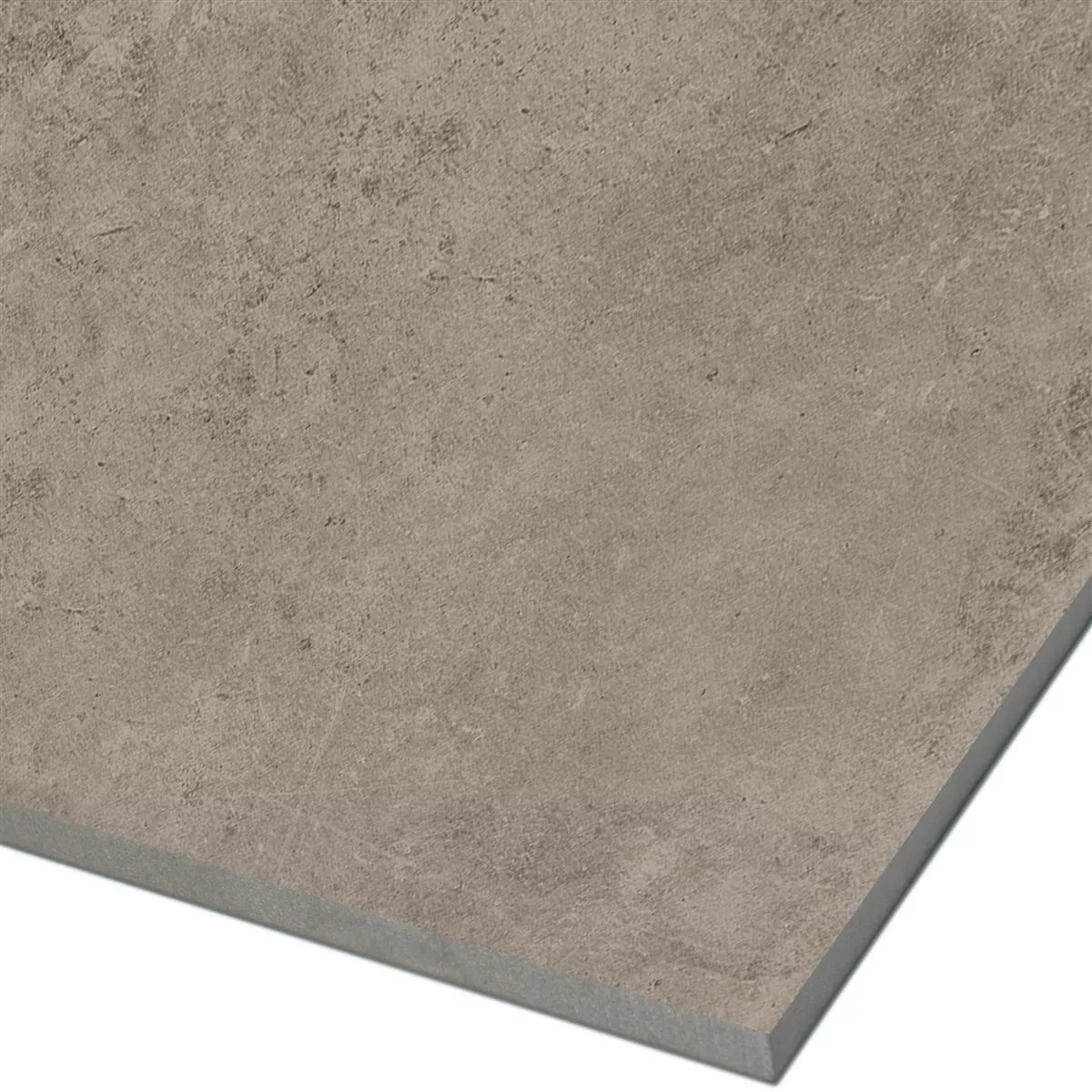 Minta Padlólapok Colossus Taupe 60x60cm