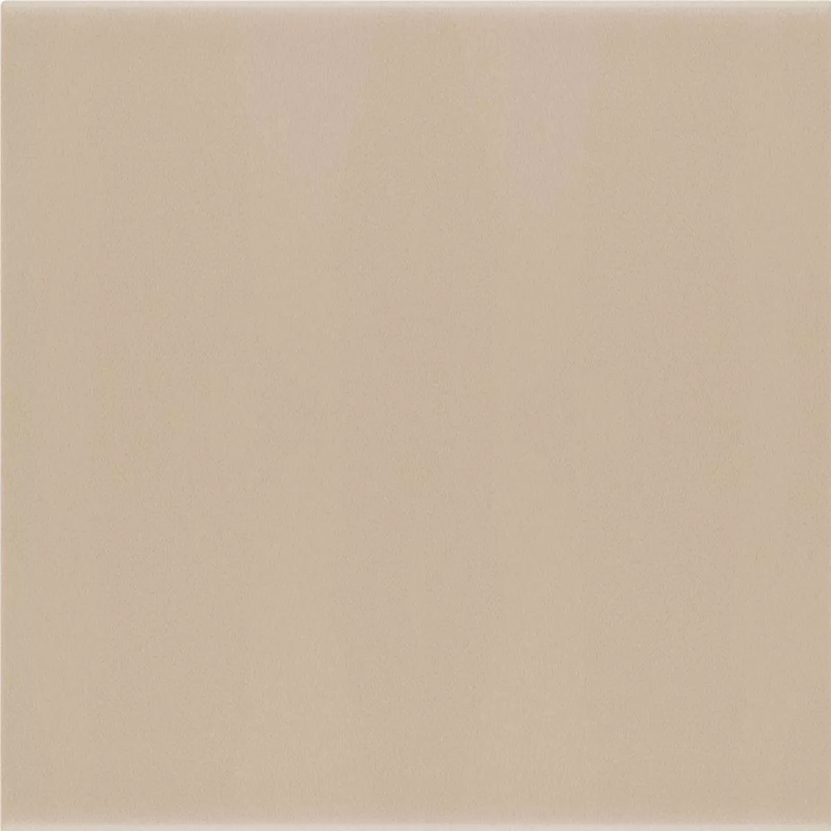 Fali Csempe Belluno Pastell Taupe 12,4x12,4cm Fali Csempe Belluno Pastell Taupe 12,4x12,4cm