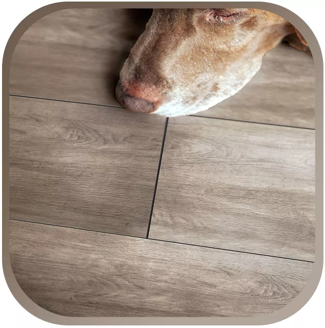 Padlócsempék Fa Megjelenés