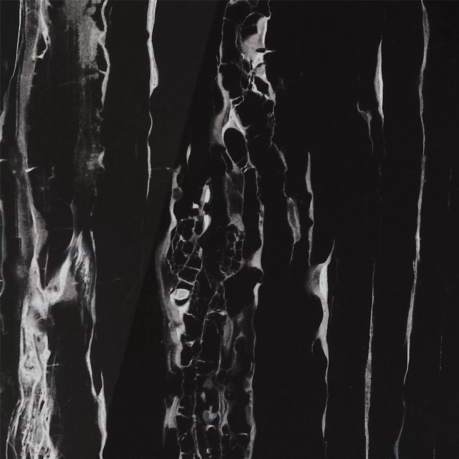 Természetes Kőlapok Optika Discovery Csiszolt Nero Galactica 60x60cm Természetes Kőlapok Optika Discovery Csiszolt Nero Galactica 60x60cm