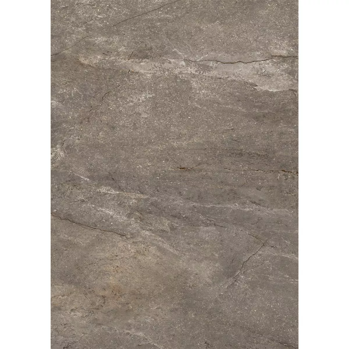 Padlólapok Pangea Márvány Megjelenés Deres Mokka 60x120cm