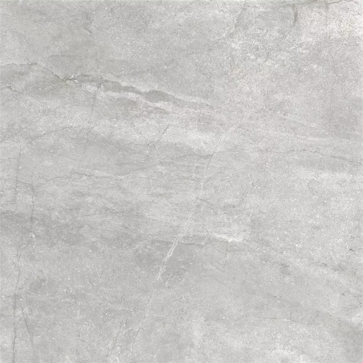 Padlólapok Pangea Márvány Megjelenés Deres Ezüst 60x60cm
