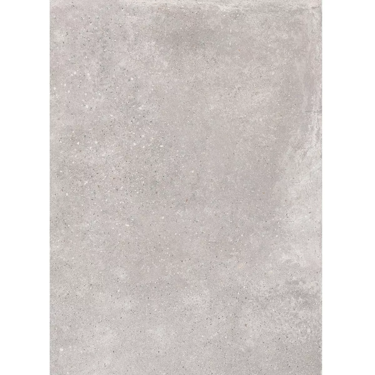 Padlólapok Kő Megjelenés Platinum Szürke 60x120 cm
