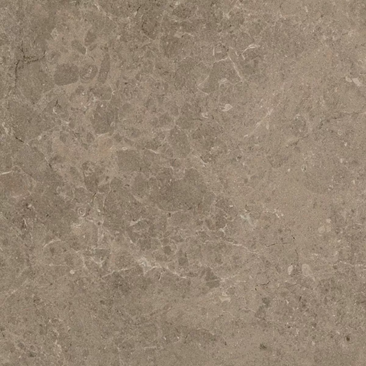 Teraszlapok Porcelán Kőedény Arizona Taupe 60x60x2 cm Teraszlapok Porcelán Kőedény Arizona Taupe 60x60x2 cm