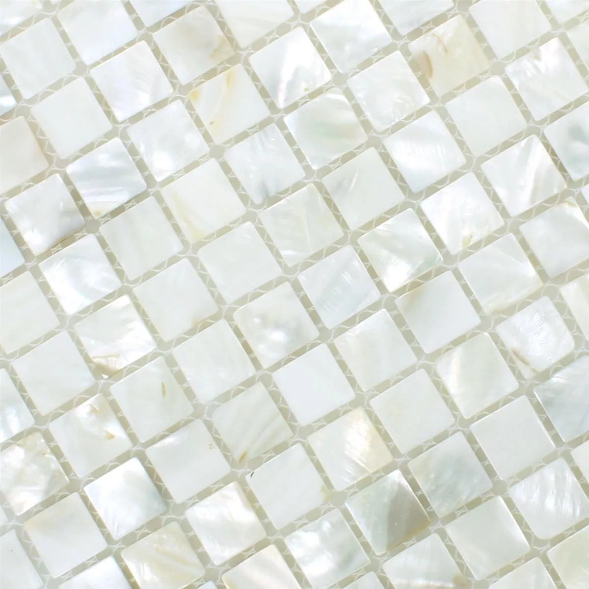 Mozaik Csempe Héj Kordon Fehér
