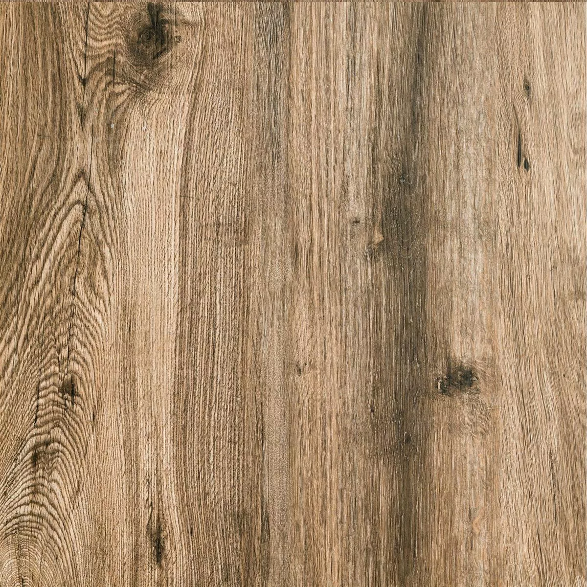 Teraszlapok Starwood Fa Megjelenés Oak 60x60cm