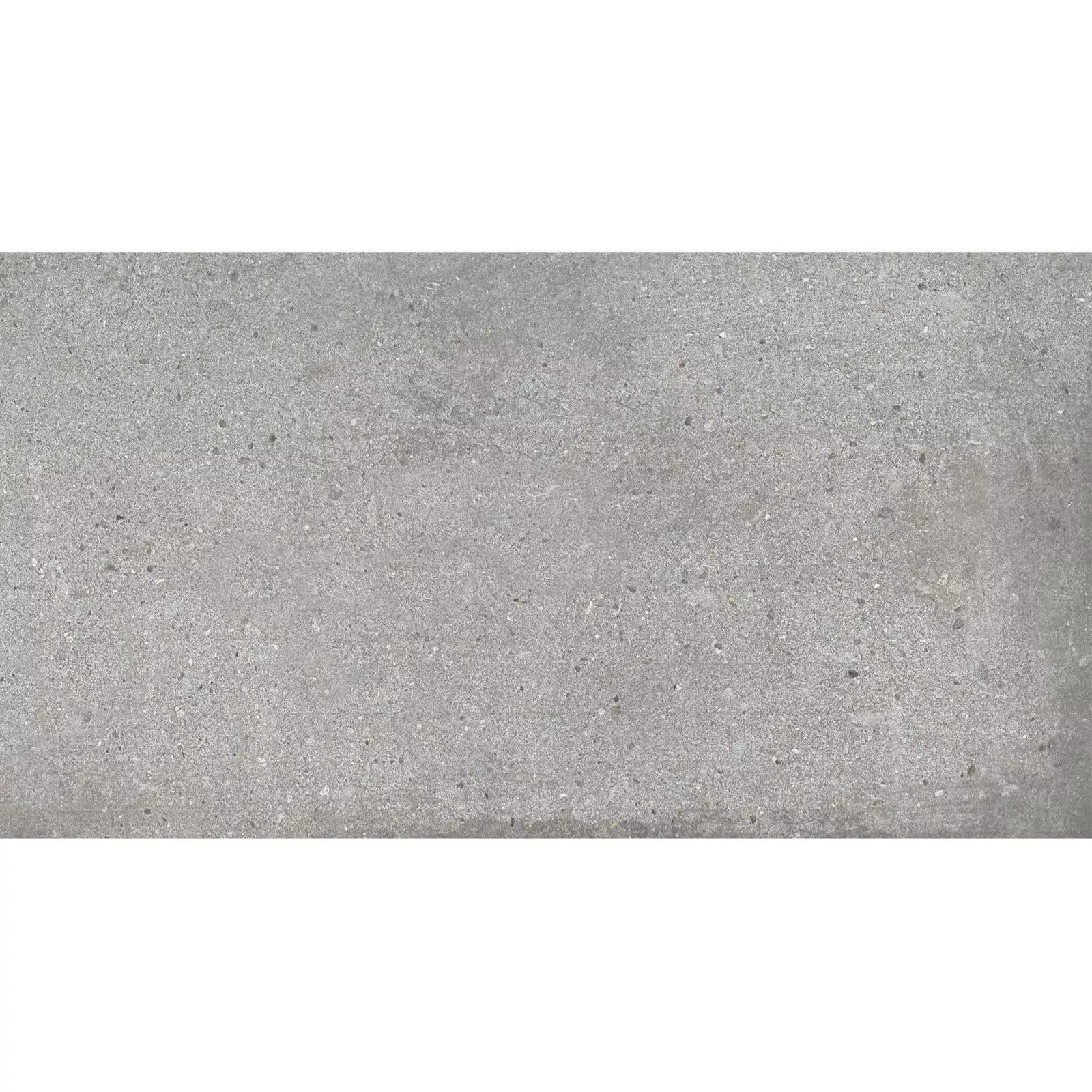 Padlólapok Freeland Kő Megjelenés R10/B Szürke 30x60cm
