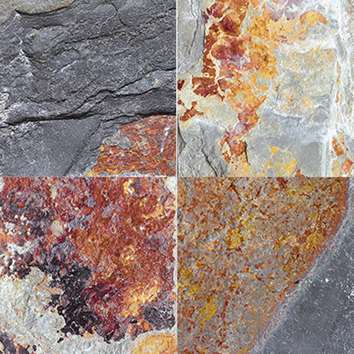 Porcelán Kőedény Medence Pool Csempék Muskat 22,5x,22,5cm Porcelán Kőedény Medence Pool Csempék Muskat 22,5x,22,5cm