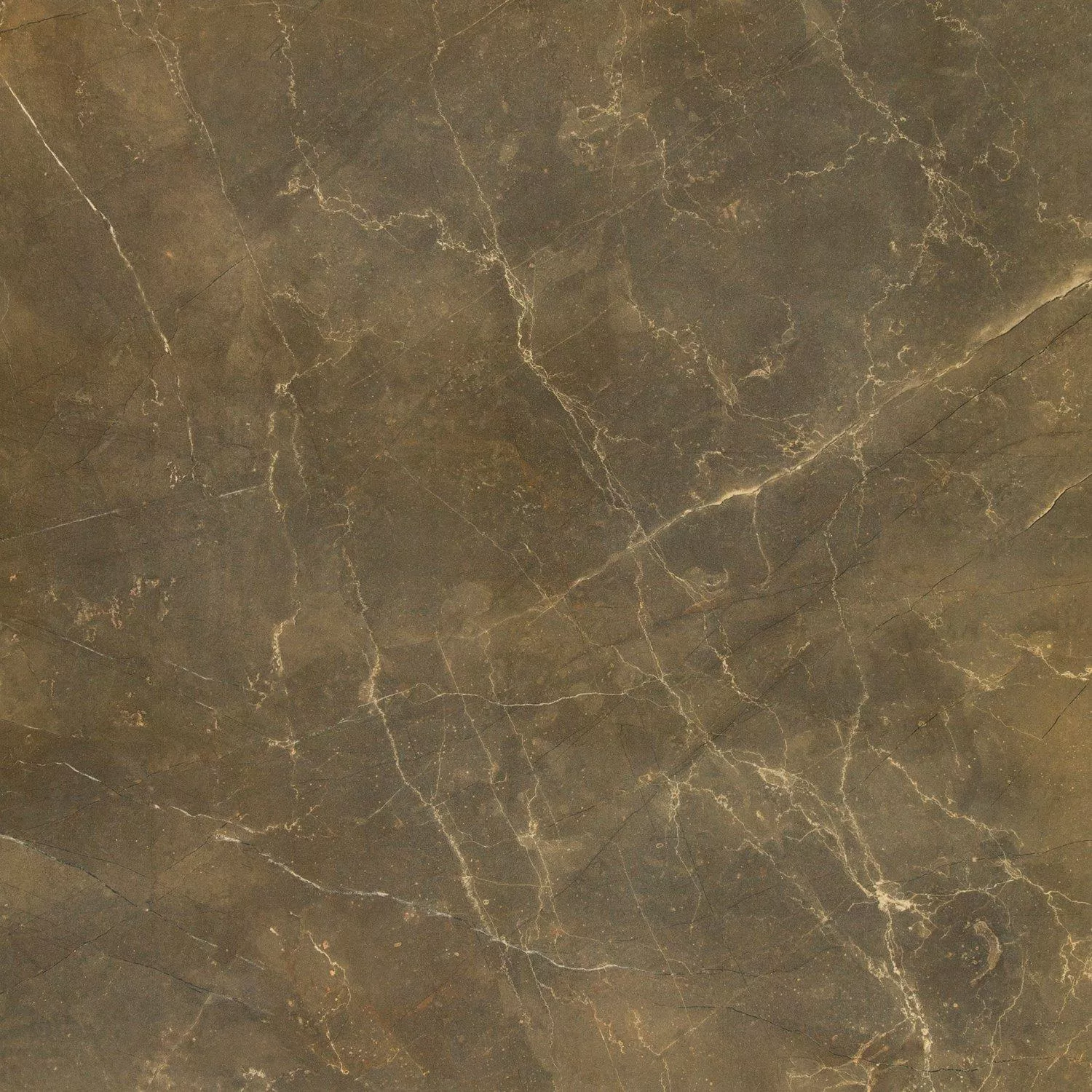 Padlólapok Márvány Megjelenés Imperial Khaki 80x80cm Padlólapok Márvány Megjelenés Imperial Khaki 80x80cm