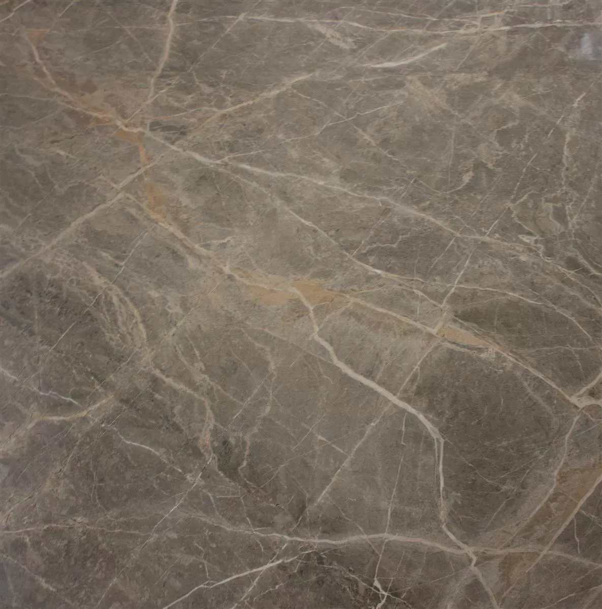 Padló Csempe Zeven Szürke Bézs Arany Pala Megjelenés 60x60cm Padló Csempe Zeven Szürke Bézs Arany Pala Megjelenés 60x60cm