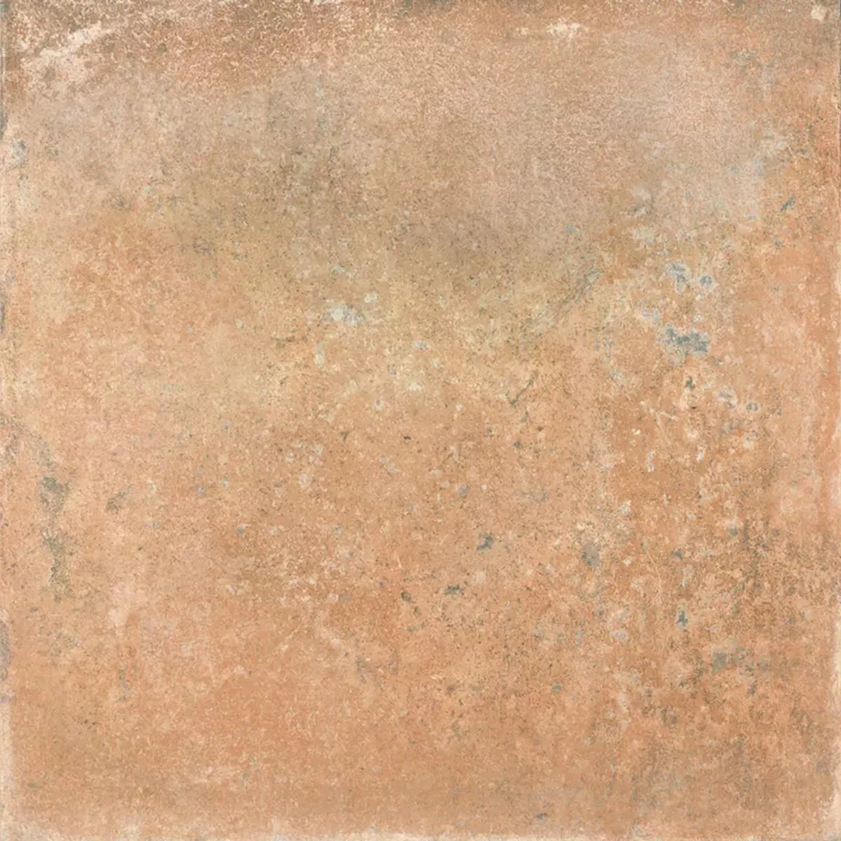 Queens Terrakotta Barna 25x25 cm